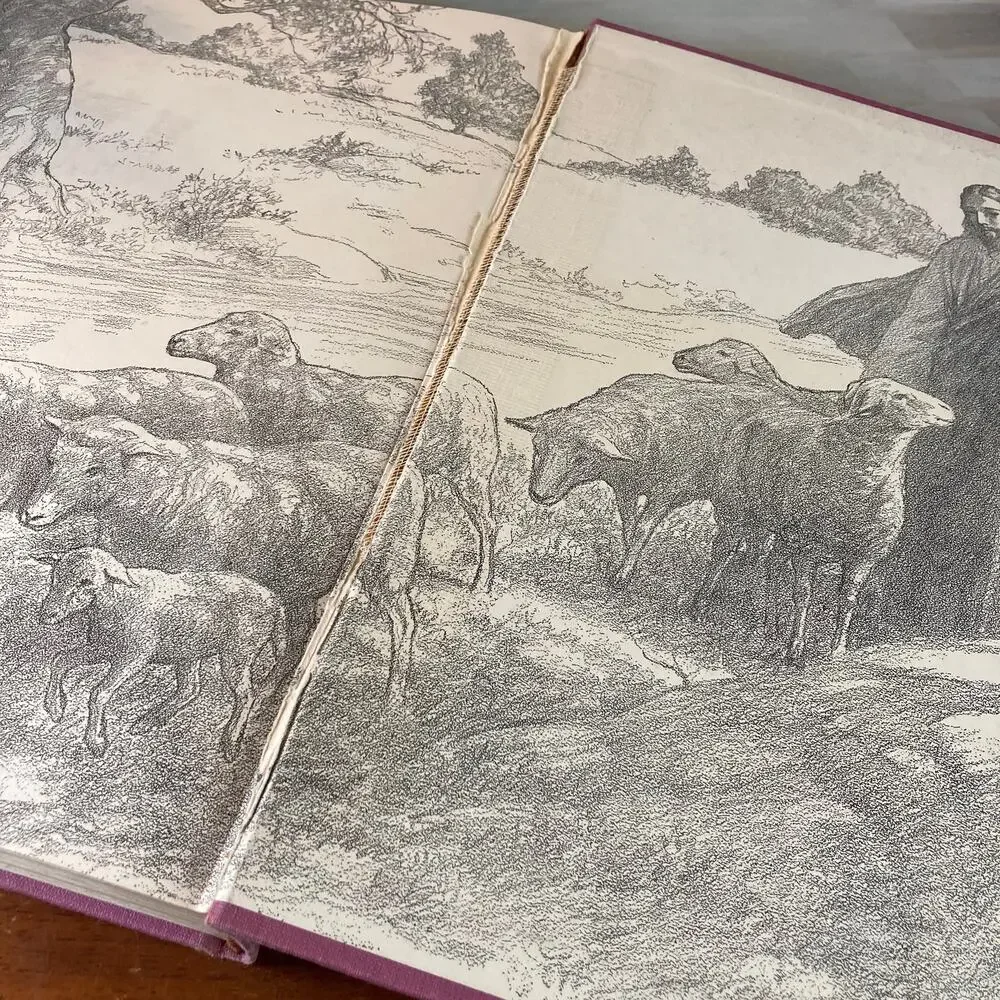 Vintage 50s Bible Stories for Young People (Platt & Munk) Hardcover Illustrated